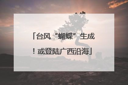台风“蝴蝶”生成！或登陆广西沿海