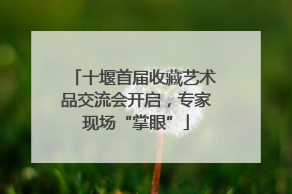 十堰首届收藏艺术品交流会开启，专家现场“掌眼”