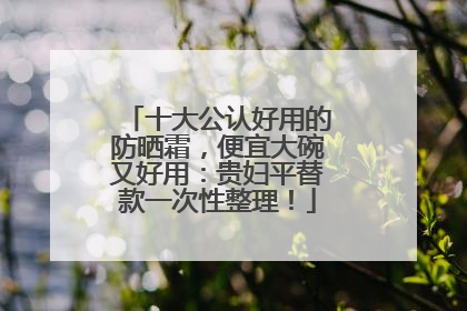 十大公认好用的防晒霜，便宜大碗又好用：贵妇平替款一次性整理！