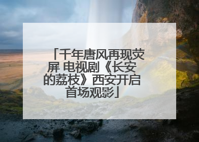 千年唐风再现荧屏 电视剧《长安的荔枝》西安开启首场观影