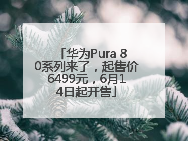 华为Pura 80系列来了，起售价6499元，6月14日起开售