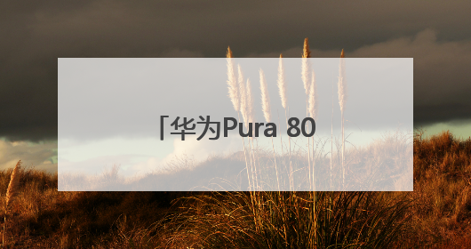 华为Pura 80系列正式发布 除标准版其他版本价格曝光，售价6499元起