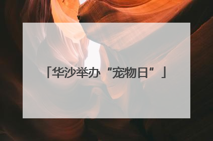 华沙举办“宠物日”