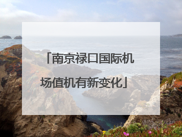 南京禄口国际机场值机有新变化
