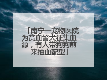 南宁一宠物医院为贫血警犬征集血源，有人带狗狗前来抽血配型
