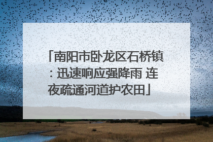 南阳市卧龙区石桥镇：迅速响应强降雨 连夜疏通河道护农田