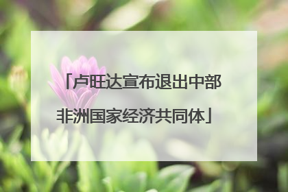 卢旺达宣布退出中部非洲国家经济共同体