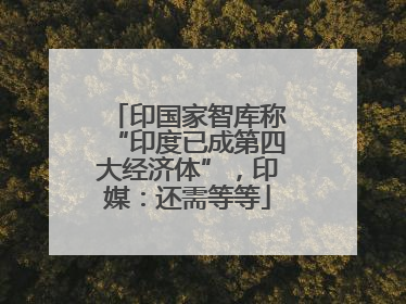 印国家智库称“印度已成第四大经济体”，印媒：还需等等