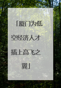 厦门为低空经济人才插上高飞之翼