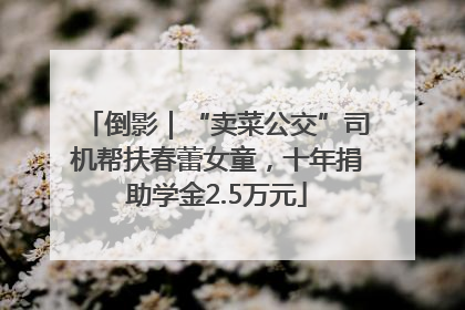 倒影｜“卖菜公交”司机帮扶春蕾女童，十年捐助学金2.5万元