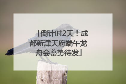 倒计时2天！成都新津天府端午龙舟会蓄势待发