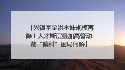 兴银基金洪木妹规模再降！人才断层叠加高管动荡“偏科”困局何解