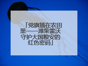 党旗插在农田里——潍柴雷沃守护大国粮安的红色密码