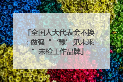 全国人大代表金不换：做强“‘豫’见未来”未检工作品牌