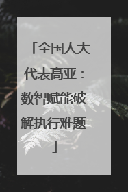 全国人大代表高亚：数智赋能破解执行难题
