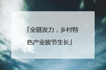 全链发力，乡村特色产业拔节生长