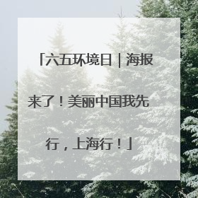 六五环境日｜海报来了！美丽中国我先行，上海行！