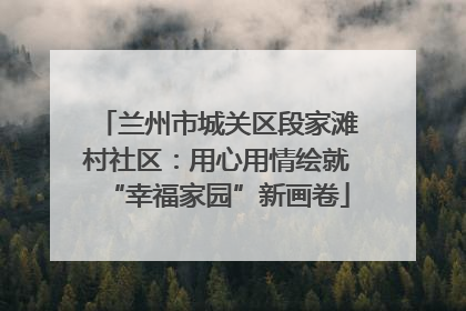 兰州市城关区段家滩村社区：用心用情绘就“幸福家园”新画卷
