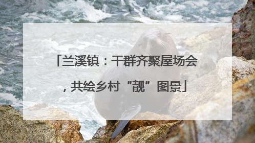 兰溪镇：干群齐聚屋场会，共绘乡村“靓”图景