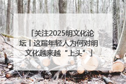 关注2025明文化论坛丨这届年轻人为何对明文化越来越“上头”