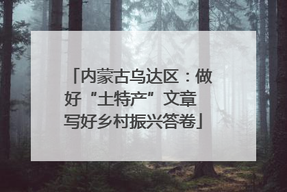 内蒙古乌达区：做好“土特产”文章 写好乡村振兴答卷