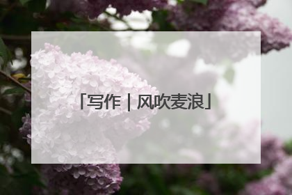 写作｜风吹麦浪