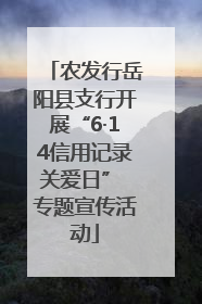 农发行岳阳县支行开展“6·14信用记录关爱日” 专题宣传活动