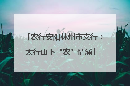 农行安阳林州市支行：太行山下“农”情涌