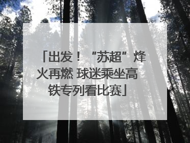 出发！“苏超”烽火再燃 球迷乘坐高铁专列看比赛