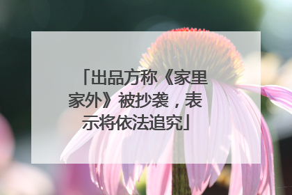出品方称《家里家外》被抄袭，表示将依法追究