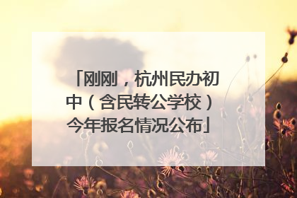 刚刚，杭州民办初中（含民转公学校）今年报名情况公布