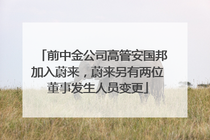 前中金公司高管安国邦加入蔚来，蔚来另有两位董事发生人员变更