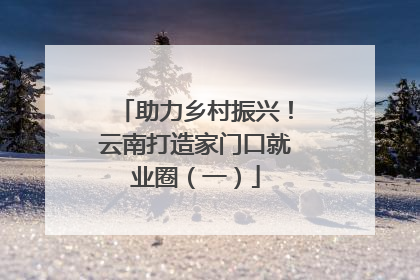 助力乡村振兴！云南打造家门口就业圈（一）