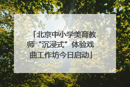 北京中小学美育教师“沉浸式”体验戏曲工作坊今日启动