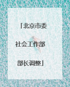 北京市委社会工作部部长调整