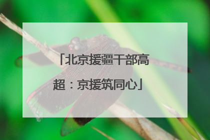 北京援疆干部高超：京援筑同心