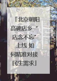 北京朝阳高碑店乡“店念不忘” 上线 如何精准对接民生需求
