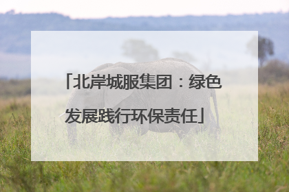 北岸城服集团：绿色发展践行环保责任