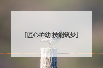 匠心护幼 技能筑梦