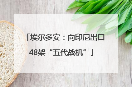 埃尔多安：向印尼出口48架“五代战机”
