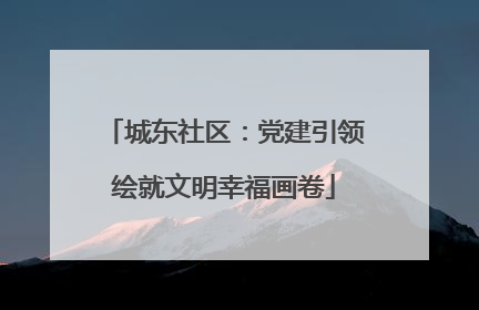 城东社区：党建引领绘就文明幸福画卷