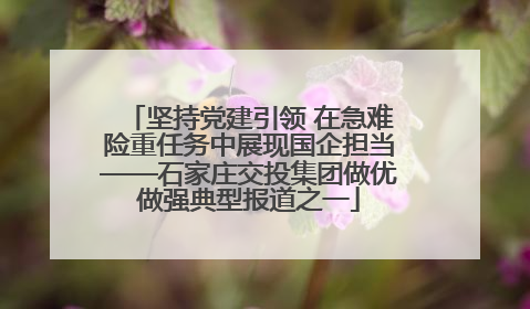 坚持党建引领 在急难险重任务中展现国企担当——石家庄交投集团做优做强典型报道之一