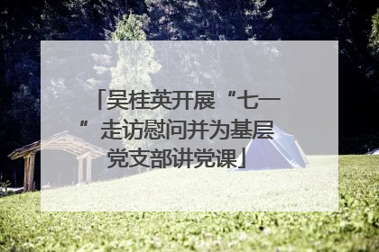 吴桂英开展“七一”走访慰问并为基层党支部讲党课