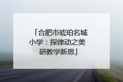合肥市琥珀名城小学：探律动之美 研教学新思