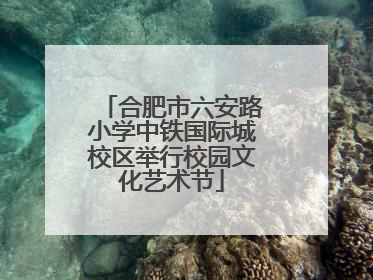 合肥市六安路小学中铁国际城校区举行校园文化艺术节