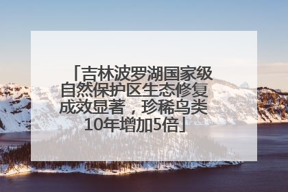 吉林波罗湖国家级自然保护区生态修复成效显著，珍稀鸟类10年增加5倍