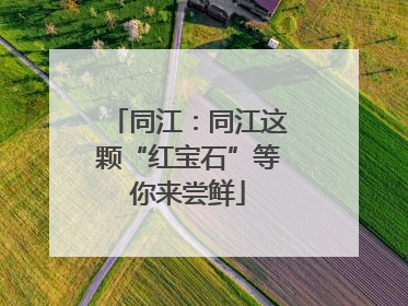 同江：同江这颗“红宝石”等你来尝鲜