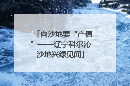向沙地要“产值”——辽宁科尔沁沙地兴绿见闻