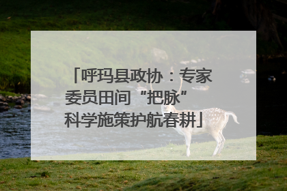 呼玛县政协：专家委员田间“把脉” 科学施策护航春耕