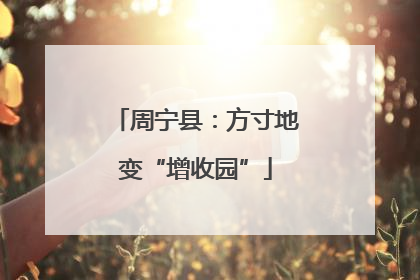 周宁县：方寸地变“增收园”